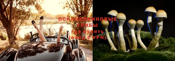марки lsd Горнозаводск