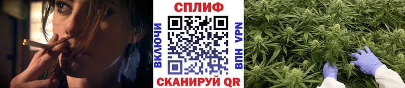 Канабис марихуана Домодедово